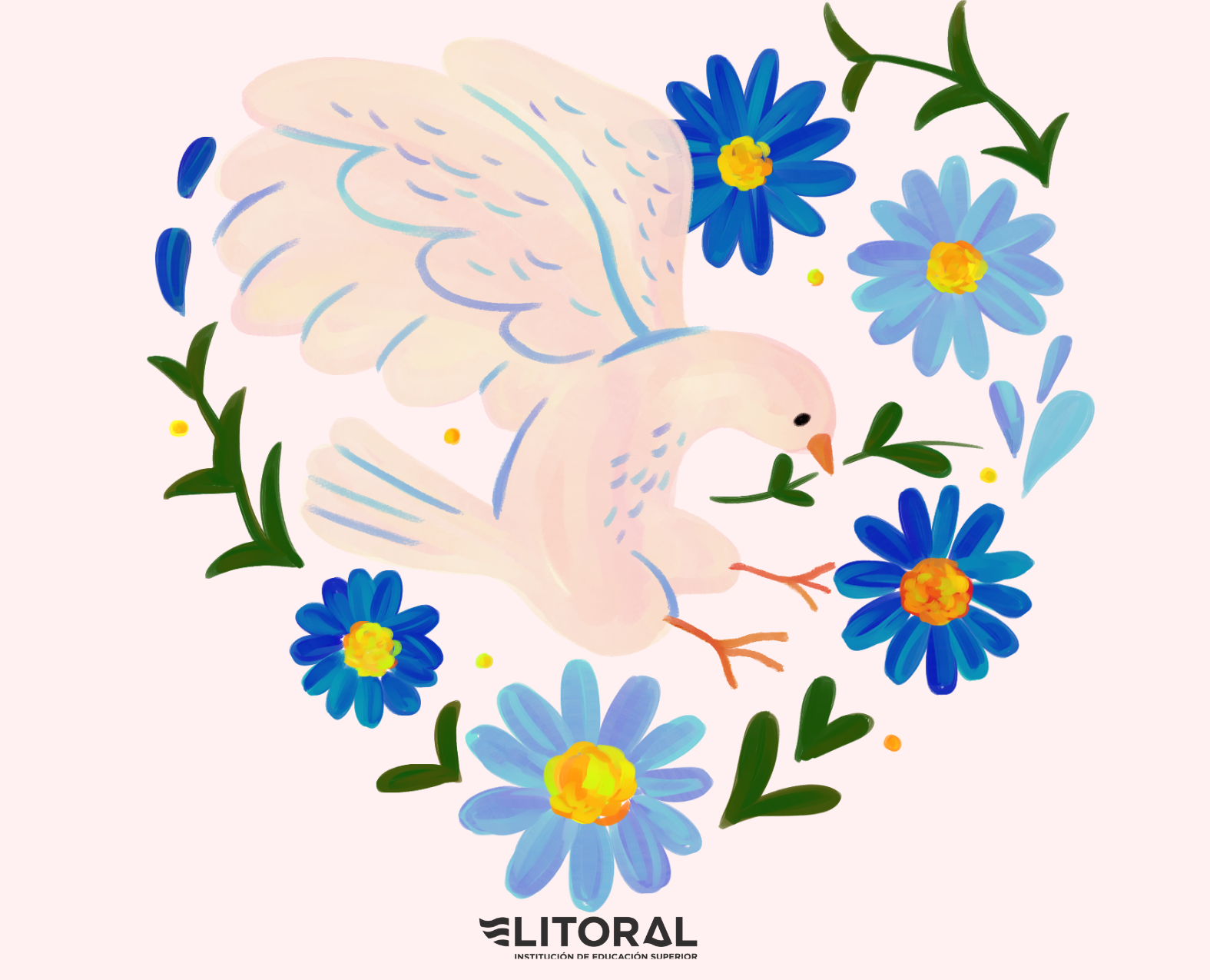 CATEDRA LITORALISTA GRUPO 4