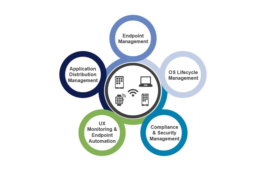 MODO DE TRANSPORTE Y CONTRATOS (DIURNO)
